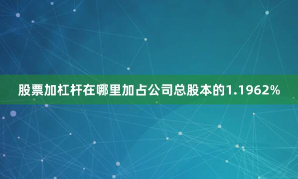 股票加杠杆在哪里加占公司总股本的1.1962%